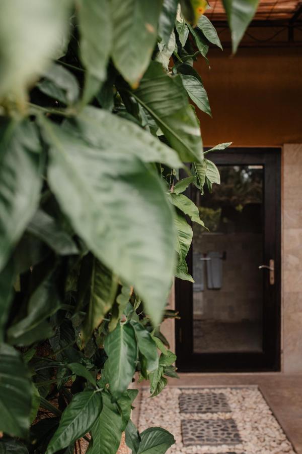 Hotel Mandala Desa Sukawati Exteriér fotografie